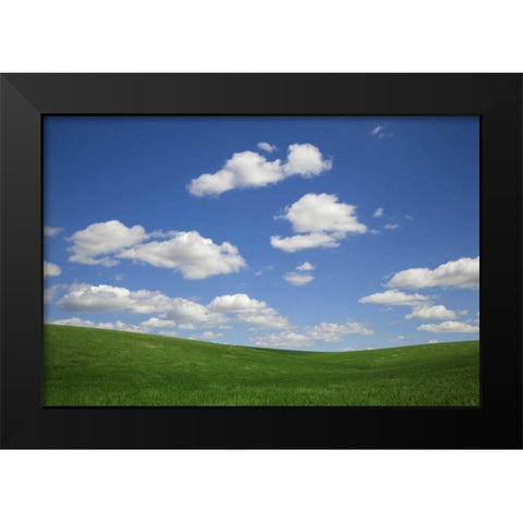 Washington, Palouse Green wheat field landscape Black Modern Wood Framed Art Print by Flaherty, Dennis