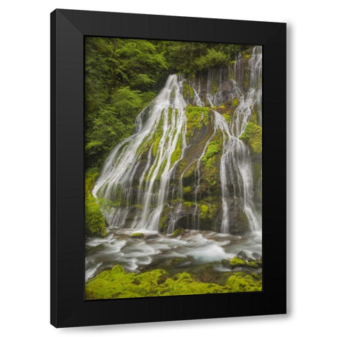 Washington Spring Panther Creek Waterfall Black Modern Wood Framed Art Print by Paulson, Don