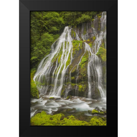 Washington Spring Panther Creek Waterfall Black Modern Wood Framed Art Print by Paulson, Don
