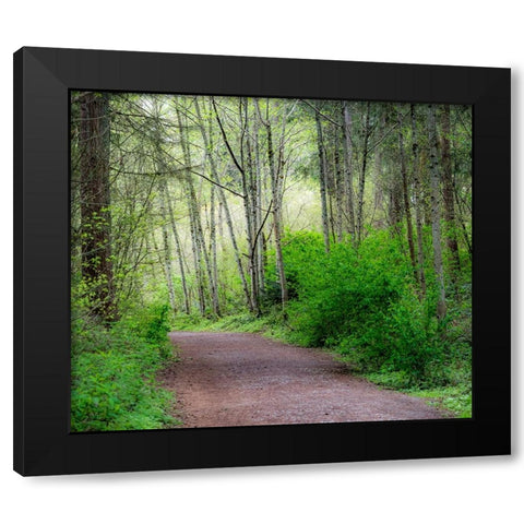 USA-Washington State-Pacific Northwest Sammamish trail along Yellow Lake Black Modern Wood Framed Art Print with Double Matting by Gulin, Sylvia
