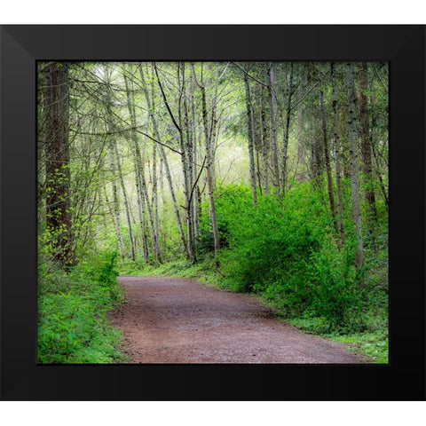 USA-Washington State-Pacific Northwest Sammamish trail along Yellow Lake Black Modern Wood Framed Art Print by Gulin, Sylvia