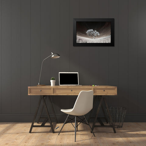 Lone tree in field of harvested wheat Black Modern Wood Framed Art Print by Eggers, Terry