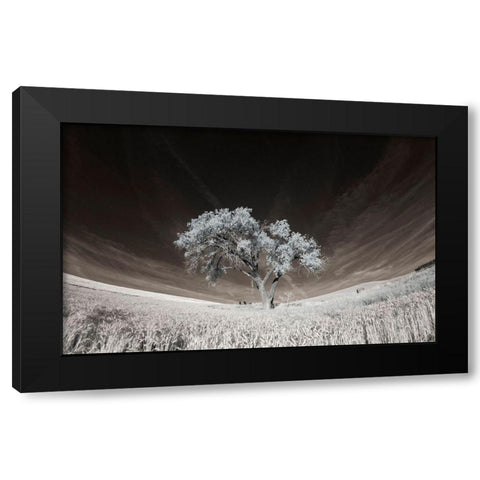Lone tree in field of harvested wheat Black Modern Wood Framed Art Print by Eggers, Terry