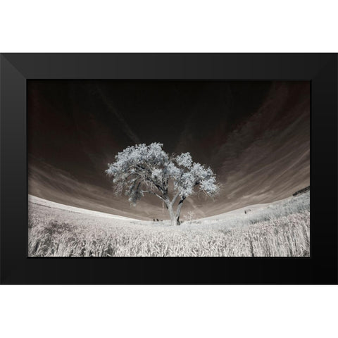 Lone tree in field of harvested wheat Black Modern Wood Framed Art Print by Eggers, Terry