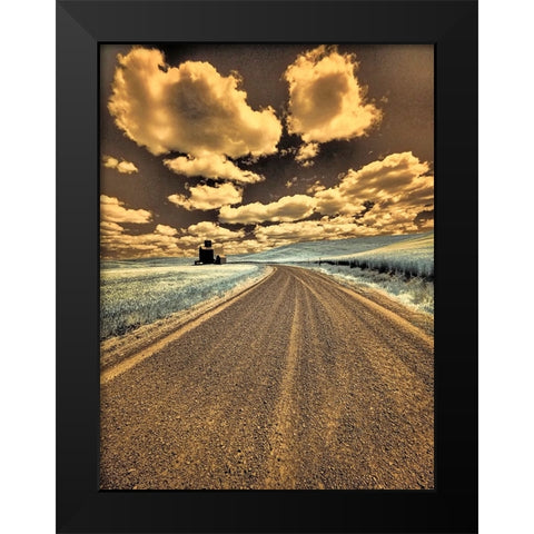 USA-Washington State-Palouse-Country backroad through spring crops Black Modern Wood Framed Art Print by Eggers, Terry