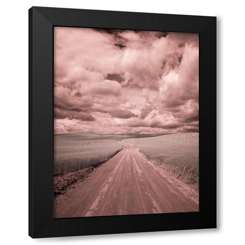 USA-Washington State-Palouse-Country backroad through spring crops Black Modern Wood Framed Art Print by Eggers, Terry