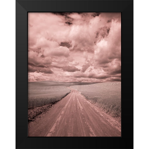 USA-Washington State-Palouse-Country backroad through spring crops Black Modern Wood Framed Art Print by Eggers, Terry