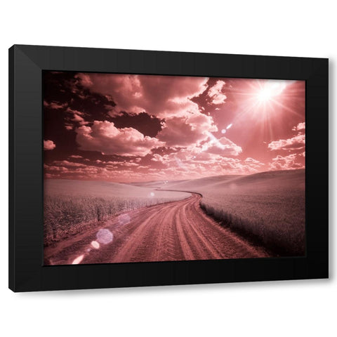 USA-Washington State-Palouse-Country backroad through spring crops Black Modern Wood Framed Art Print by Eggers, Terry