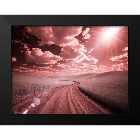 USA-Washington State-Palouse-Country backroad through spring crops Black Modern Wood Framed Art Print by Eggers, Terry