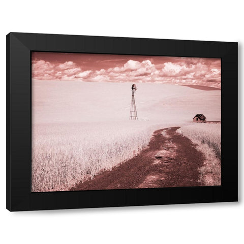 USA-Washington State-Palouse-Backroad through wheat field Black Modern Wood Framed Art Print by Eggers, Terry