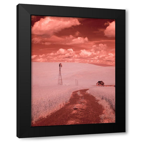 USA-Washington State-Palouse-Backroad through wheat field Black Modern Wood Framed Art Print by Eggers, Terry