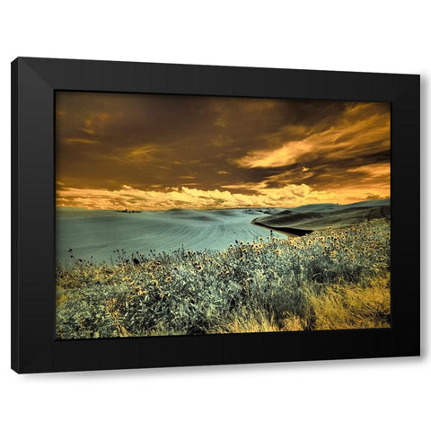 USA-Washington State-Palouse-Spring Poppies and Backcountry road through wheat field and clouds Black Modern Wood Framed Art Print by Eggers, Terry