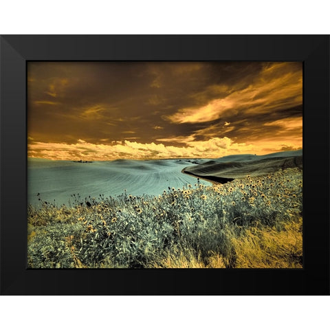 USA-Washington State-Palouse-Spring Poppies and Backcountry road through wheat field and clouds Black Modern Wood Framed Art Print by Eggers, Terry