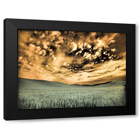 USA-Washington State-Palouse-wheat field and clouds Black Modern Wood Framed Art Print by Eggers, Terry