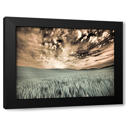 USA-Washington State-Palouse-wheat field and clouds Black Modern Wood Framed Art Print by Eggers, Terry