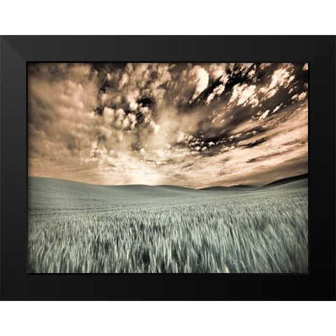 USA-Washington State-Palouse-wheat field and clouds Black Modern Wood Framed Art Print by Eggers, Terry