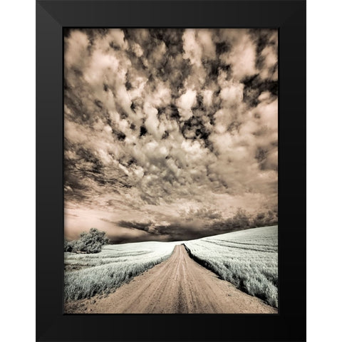 USA-Washington State-Palouse-Backcountry road through wheat field and clouds Black Modern Wood Framed Art Print by Eggers, Terry