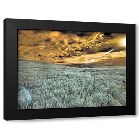 USA-Washington State-Palouse-wheat field and clouds Black Modern Wood Framed Art Print by Eggers, Terry