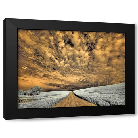USA-Washington State-Palouse-Backcountry road through wheat field and clouds Black Modern Wood Framed Art Print by Eggers, Terry