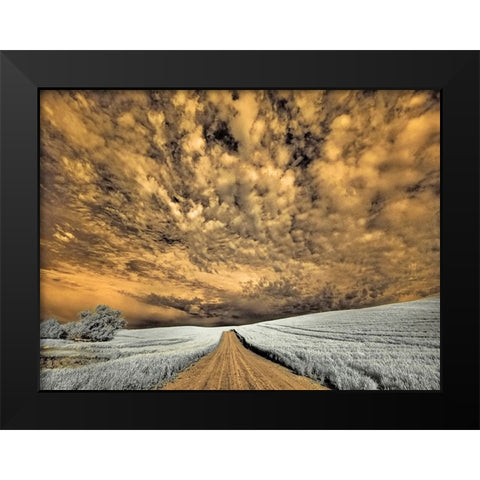 USA-Washington State-Palouse-Backcountry road through wheat field and clouds Black Modern Wood Framed Art Print by Eggers, Terry