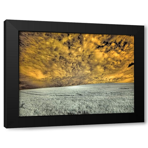 USA-Washington State-Palouse-wheat field and clouds Black Modern Wood Framed Art Print by Eggers, Terry