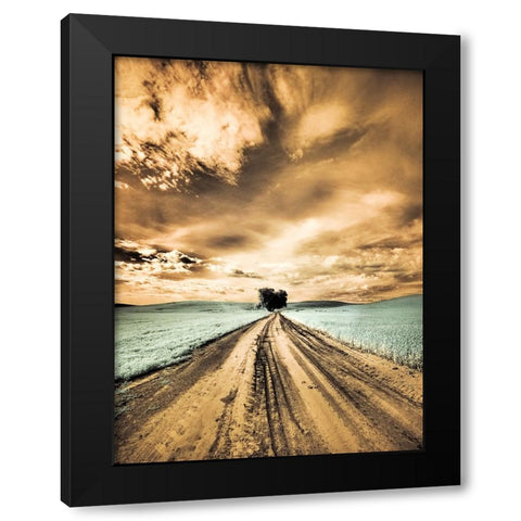 USA-Washington State-Palouse-Backcountry road through wheat field with lone tree and clouds Black Modern Wood Framed Art Print by Eggers, Terry
