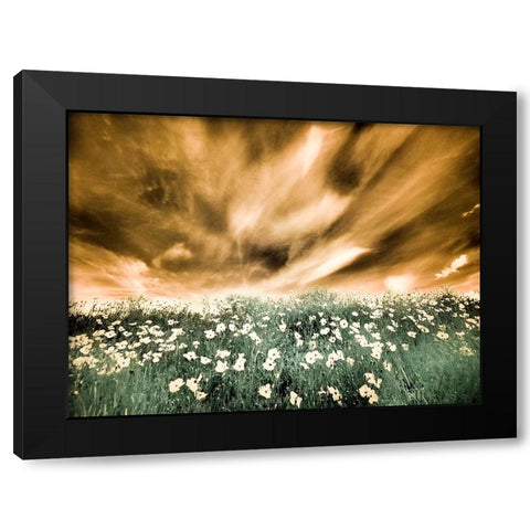 USA-Washington State-Palouse-Spring Poppies and Backcountry road through wheat field and clouds Black Modern Wood Framed Art Print by Eggers, Terry