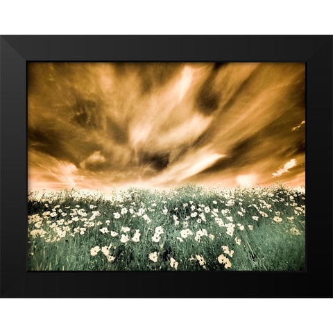 USA-Washington State-Palouse-Spring Poppies and Backcountry road through wheat field and clouds Black Modern Wood Framed Art Print by Eggers, Terry