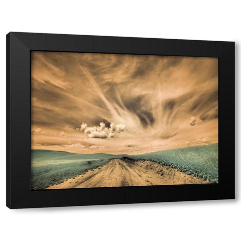 USA-Washington State-Palouse-Backcountry road through canola field and clouds Black Modern Wood Framed Art Print by Eggers, Terry