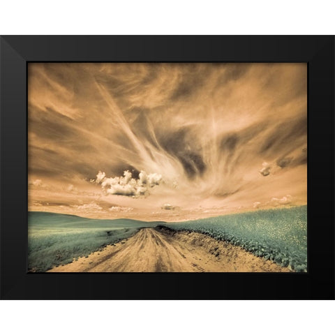 USA-Washington State-Palouse-Backcountry road through canola field and clouds Black Modern Wood Framed Art Print by Eggers, Terry