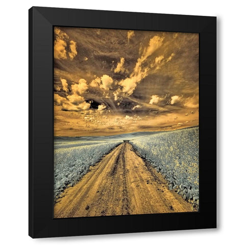 USA-Washington State-Palouse-Backcountry road through canola field and clouds Black Modern Wood Framed Art Print by Eggers, Terry