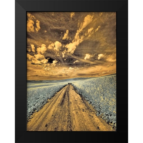 USA-Washington State-Palouse-Backcountry road through canola field and clouds Black Modern Wood Framed Art Print by Eggers, Terry