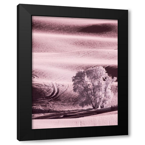 USA-Washington State-Palouse region-Lone tree in Field Black Modern Wood Framed Art Print by Eggers, Terry