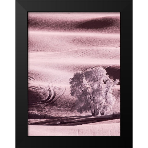 USA-Washington State-Palouse region-Lone tree in Field Black Modern Wood Framed Art Print by Eggers, Terry