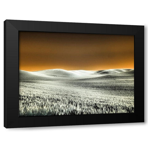 USA-Washington State-Palouse region-Rolling Hills of wheat Black Modern Wood Framed Art Print by Eggers, Terry