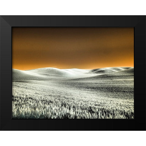 USA-Washington State-Palouse region-Rolling Hills of wheat Black Modern Wood Framed Art Print by Eggers, Terry