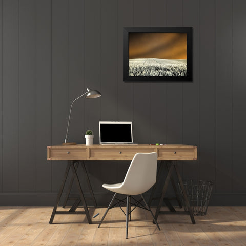USA-Washington State-Palouse region-Rolling Hills of wheat Black Modern Wood Framed Art Print by Eggers, Terry