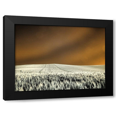 USA-Washington State-Palouse region-Rolling Hills of wheat Black Modern Wood Framed Art Print by Eggers, Terry