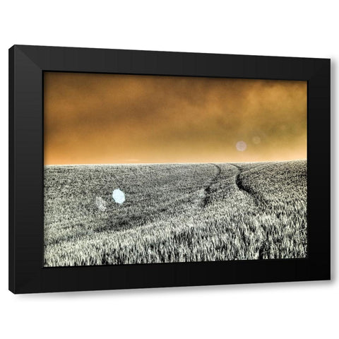 USA-Washington State-Palouse region-Rolling Hills of wheat Black Modern Wood Framed Art Print by Eggers, Terry