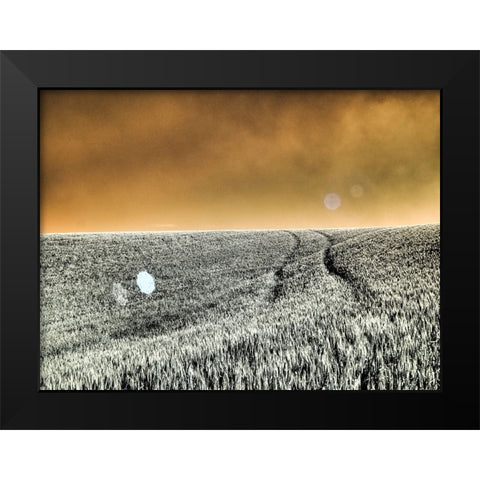 USA-Washington State-Palouse region-Rolling Hills of wheat Black Modern Wood Framed Art Print by Eggers, Terry