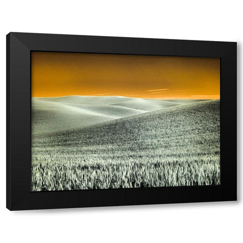 USA-Washington State-Palouse region-Rolling Hills of wheat Black Modern Wood Framed Art Print by Eggers, Terry