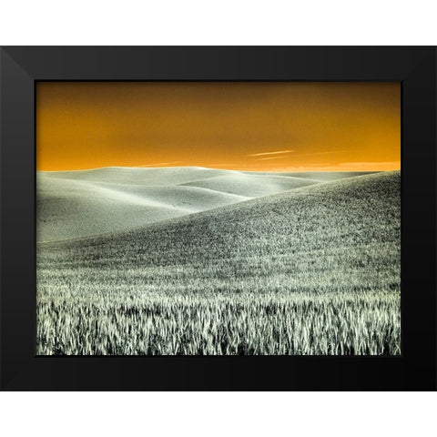 USA-Washington State-Palouse region-Rolling Hills of wheat Black Modern Wood Framed Art Print by Eggers, Terry