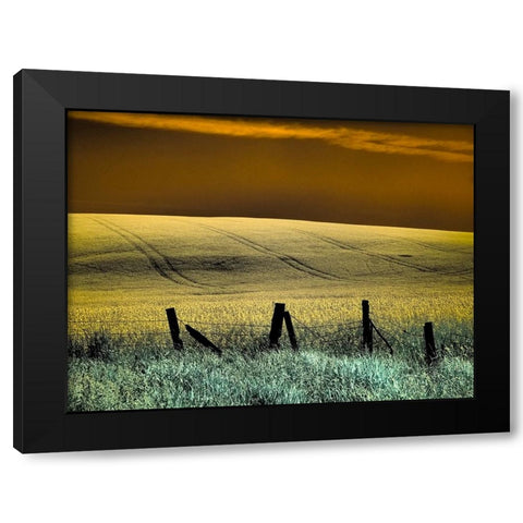 USA-Washington State-Palouse region-Fence and field of wheat Black Modern Wood Framed Art Print by Eggers, Terry