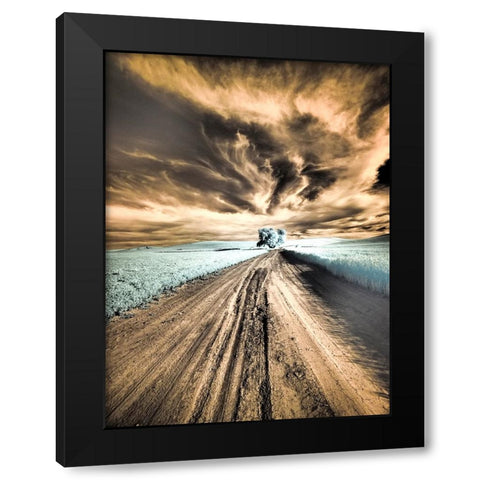 USA-Washington State-Palouse region-Backcountry road leading to Lone Tree Black Modern Wood Framed Art Print by Eggers, Terry