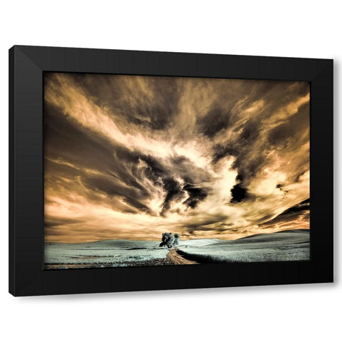 USA-Washington State-Palouse region-Backcountry road leading to Lone Tree Black Modern Wood Framed Art Print with Double Matting by Eggers, Terry