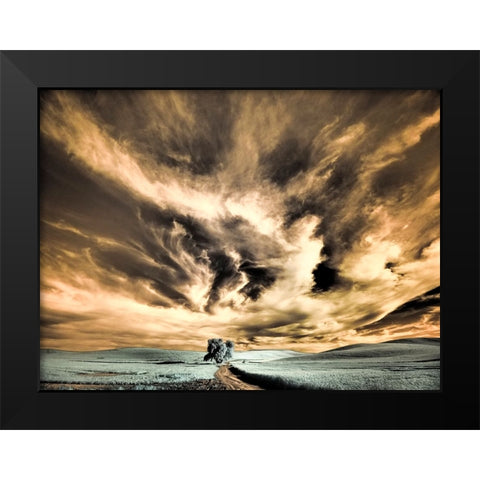 USA-Washington State-Palouse region-Backcountry road leading to Lone Tree Black Modern Wood Framed Art Print by Eggers, Terry
