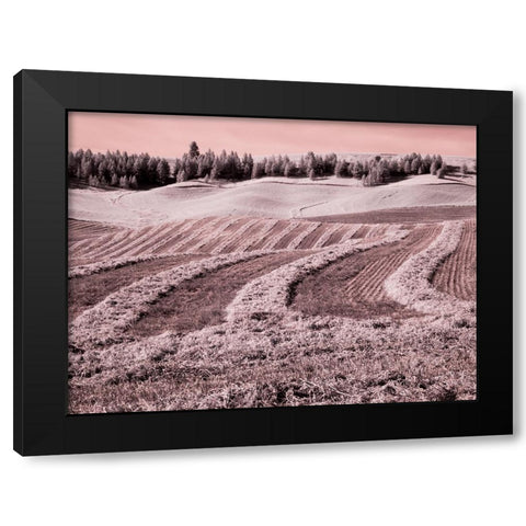 USA-Washington State-Palouse region-Harvest cut lines in Field Black Modern Wood Framed Art Print by Eggers, Terry