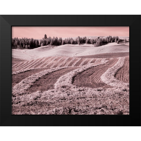 USA-Washington State-Palouse region-Harvest cut lines in Field Black Modern Wood Framed Art Print by Eggers, Terry