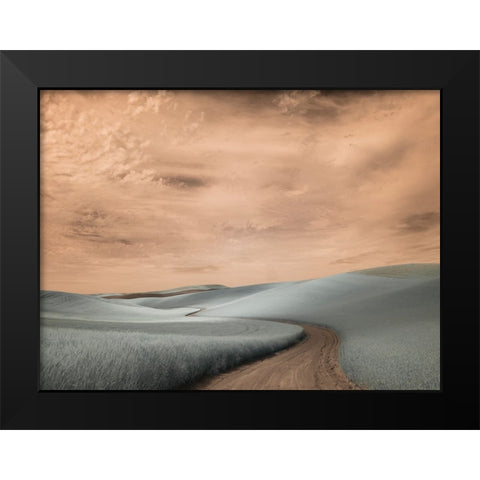 USA-Washington State-Palouse region-winding backcountry road through wheat fields Black Modern Wood Framed Art Print by Eggers, Terry