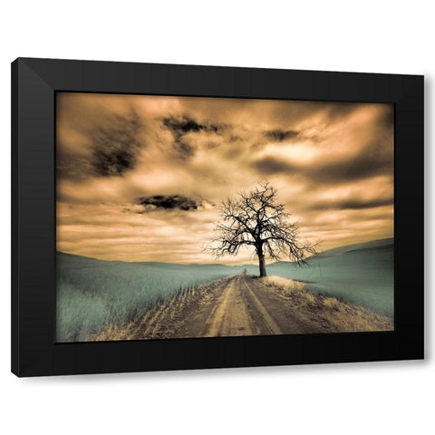 USA-Washington State-Palouse Infrared of lone tree along side country road Black Modern Wood Framed Art Print by Eggers, Terry